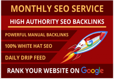 I will do 30 days daily drip feed link building blog comment service with white hat seo
