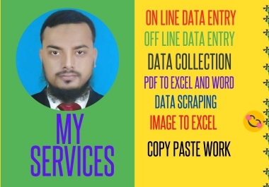 I will do data entry,  copy paste and web analysis for you