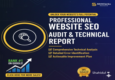 Professional Website SEO Audit and Technical Report