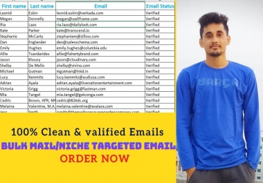I will provide bulk email,  niche targeted email
