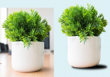 I do background remove,  image correction and jewelary retouch