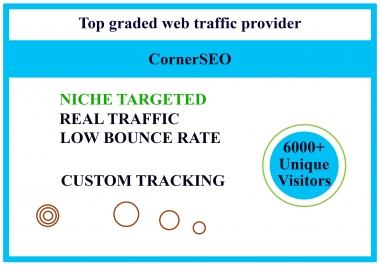 I will bring real visitors,  targeted web traffic and secure service