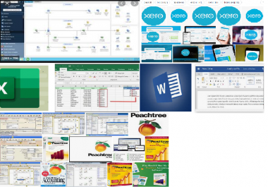 Accounts and Data Entry in QuickBooks Ms Excel and Word.