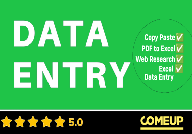 I will provide top quality data entry,  copy paste and PDF Conversion services