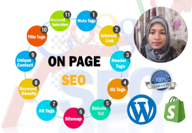I will do advance on page and off page SEO for wordpress website