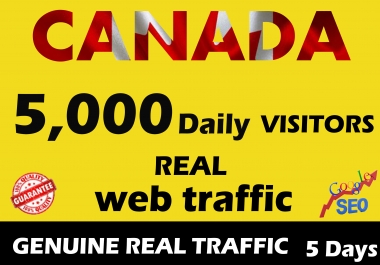 I will drive Canada organic web traffic