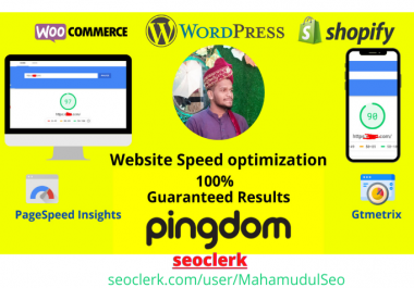 I will do website Pro optimization,  increase page speed