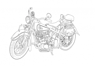 I will draw detail line art illustration vector