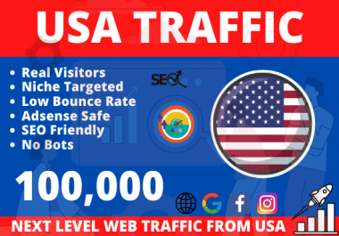 USA targeted Real organic web traffic