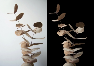 I will do image editing and background remove