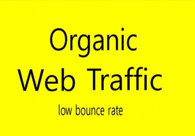 Organic web traffic 30 days from real sources
