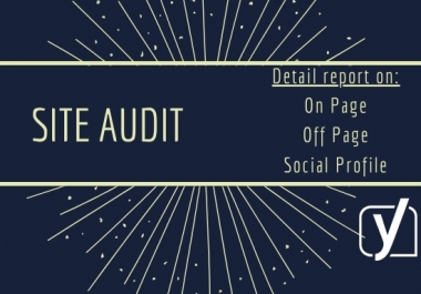 I will provide a complete report of your WordPress site by SEO audit