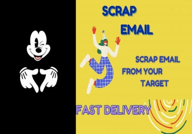 I will do perfect data entry for targeted email collection in just 1 hour