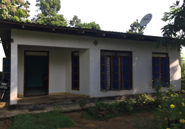 Colorize Photos and images background remover