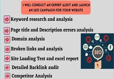 I will conduct expert audit and launch an SEO campaign for your website