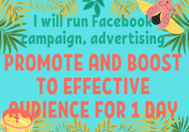 I will run Facebook campaign,  advertising,  promote and boost to effective audience