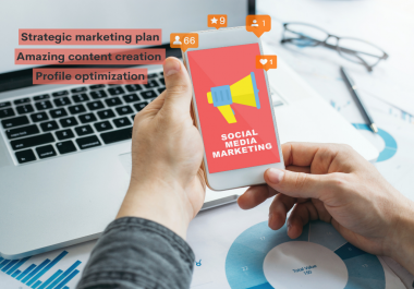 I will grow your Social accounts,  will increase traffic,  manage daily posts & Finally more sales