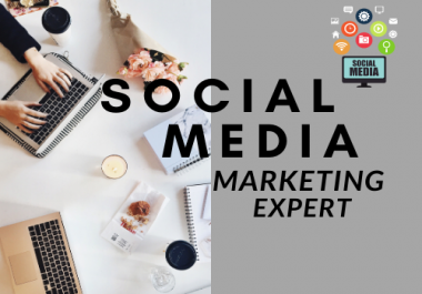 I will develop your social media marketing manager