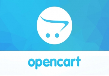 I will develop,  design,  customize opencart website