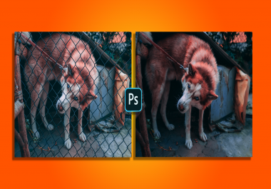 Professional Photoshop Editing and Photo Retouching