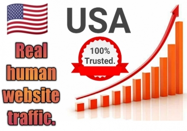 I Will bring USA targeted daily real Organic web traffic