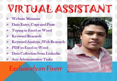 I will be your Reliable virtual assistant for any data entry and keyword research