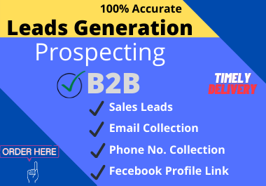 I will do b2b lead generation,  collect business leads and Prospecting