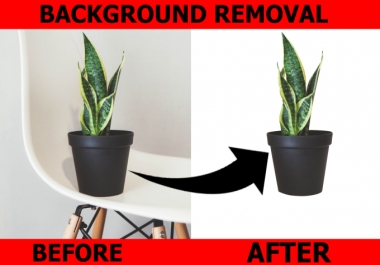 I will cut out 10 image background or convert white or transparent background