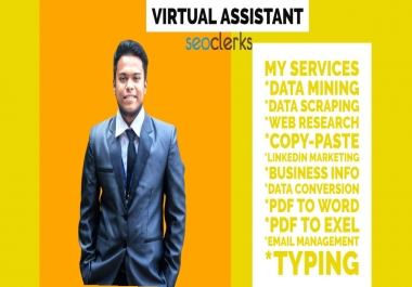 virtual assistant with any kind of Data Entry,  Data mining,  Web research,  Typing,  Data scraping,  Cop