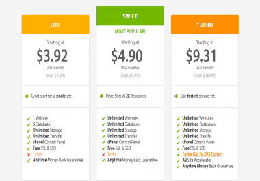 We will build a web hosting business