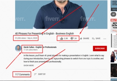 Organic YouTube Music Video Promotion by social network