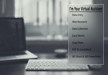 I Will Be Your Data Entry / Virtual Assistant