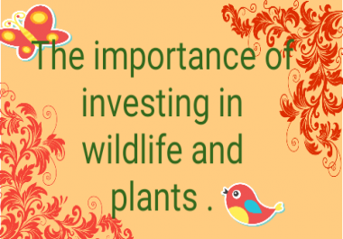 500 word aboud the importance of wilslife