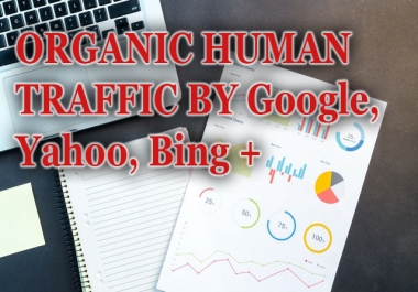 6000 REAL HUMAN TARGETED WEB TRAFFIC - Organic Traffic