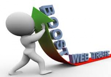 i will drive real and organic traffic for your website to targeted audience