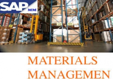 sap support executive services