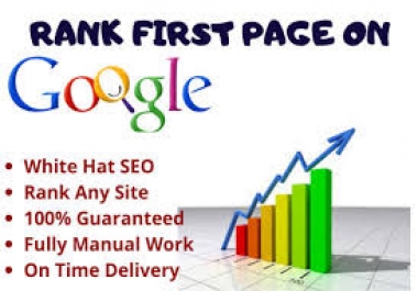 We push your site upon Google 1st Page with high Traffic Monthly Manual SEO Service