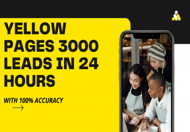 I will do yellow pages / google scraping in 24 hours