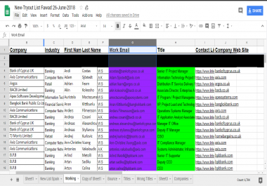 Data entry and Email Scrapping done at fastest delivery