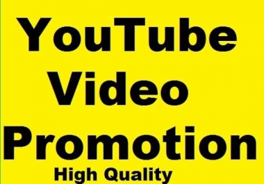 Youtube Video promotion and Social Media promotion Marketing