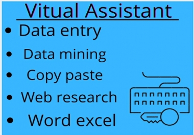 I will Do excel data entry, data mining, copy paste, web, form filling