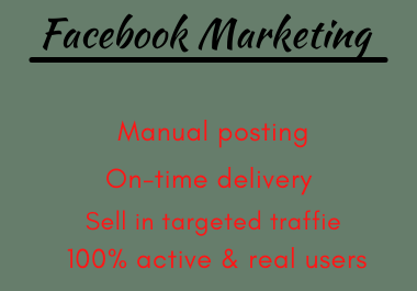 I will do manage Facebook advertising,  and FB ads campaign