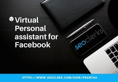 I will be your virtual personal assistant for Facebook,  Instagram Twitter.