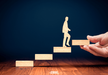 I will sell 100 exclusive article of 500 words