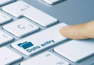 I will data entry typing work in ms excel ms word etc