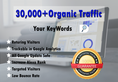 Drive 30,000 Organic targeted Visitors to your web site in one Month