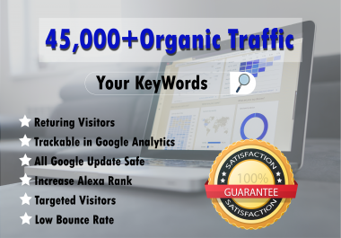 Drive targeted Adsense Safe Real Website traffic,  daily visitors for One Month non stop