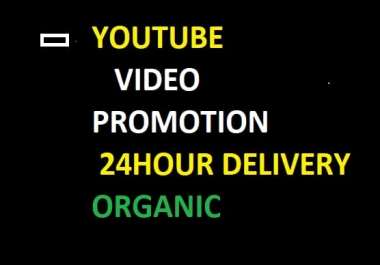 I will do organic YouTube chanel and video promotion