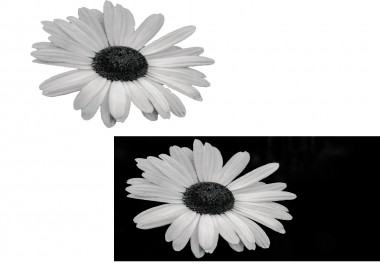 Background eraser,  any picture.