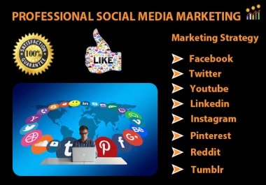 Boost Your Website,  Facebook ad,  Twitter ad and grow Business in a day